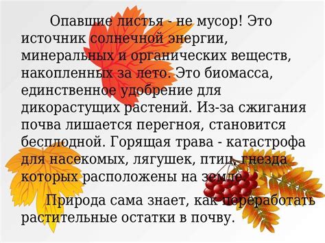 Функции опавших листьев в природе