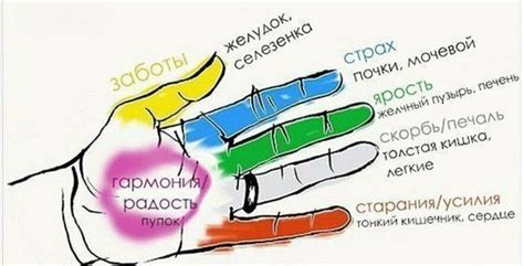 Функции указательного пальца на руке