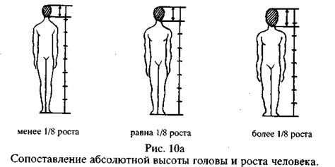 Функция комы в росте человека