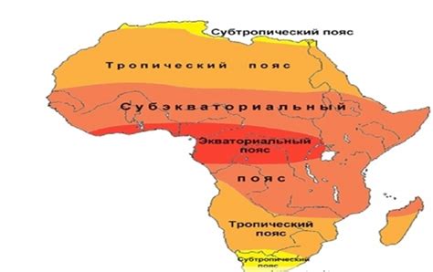 Чай и жаркий климат: важные моменты