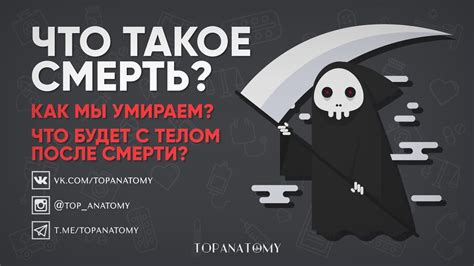 Человек и его смерть: что мы понимаем?