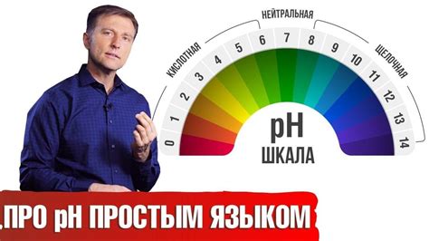 Что влияет на щелочной баланс организма?