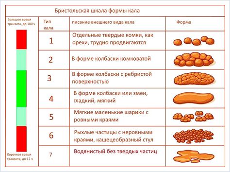 Что может вызывать появление мокроты с примесями кала?