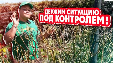 Что нужно делать после отправки возвратных товарных очков