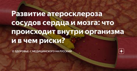 Что происходит внутри организма