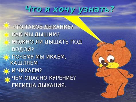 Что такое животное дыхание?