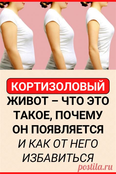 Что такое обертывание и как оно помогает избавиться от живота и боков?