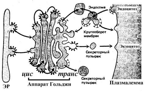 Что такое пузырьки в капельнице и почему они возникают?