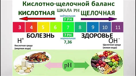 Что такое щелочной баланс и как его измерить?