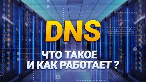 Что такое DNS сервер и как он работает?