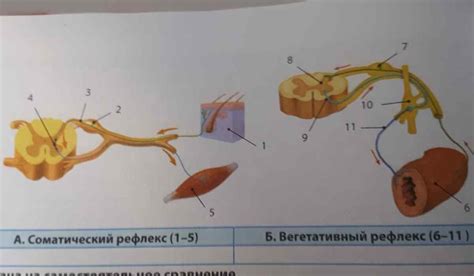 Что это такое и какова причина?