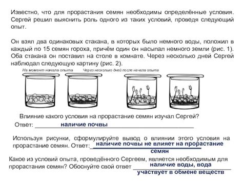 Шаг 2: Предоставление лабораторных условий