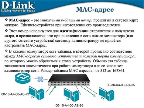 Шаг 4: Запишите MAC-адрес Алисы Лайт