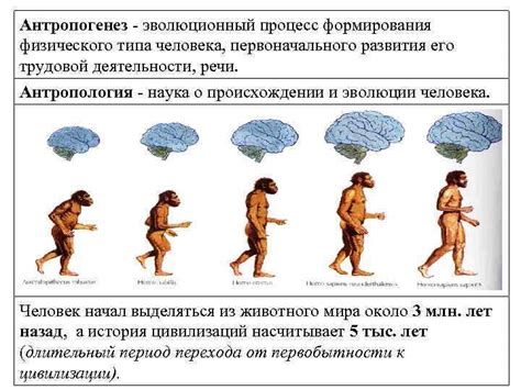 Эволюционный процесс отказа от рогов