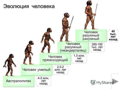 Эволюция и происхождение