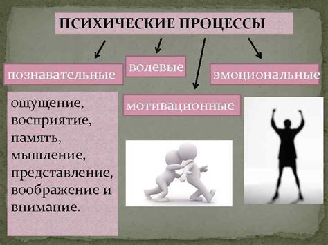 Эмоциональные и психологические факторы, влияющие на момент зачатия