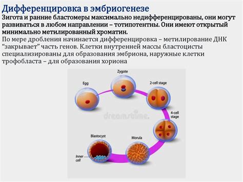 Эпигенетические изменения