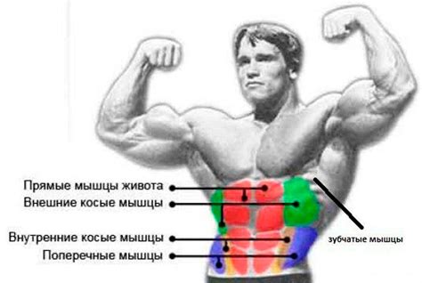 Эффективность скакалки для пресса и боковых мышц