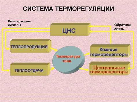 Эффекты приема при высоких температурах