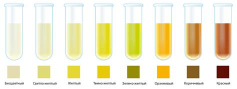 а. Влияние пищевых продуктов на цвет мочи