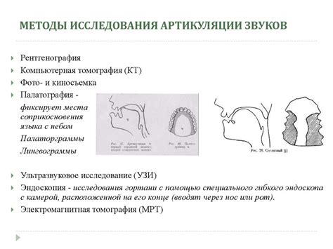  Актуальность изучения звуков речи 