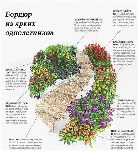  Важные условия для правильной посадки цветов 