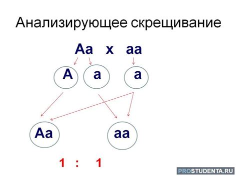  Влияние генотипа родителей 