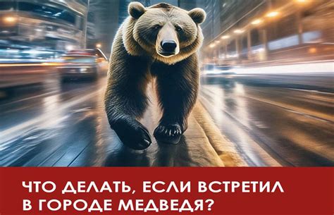  Как предотвратить встречу с медведем на дороге 