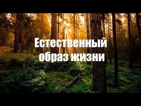  Нарушение естественного цвета 