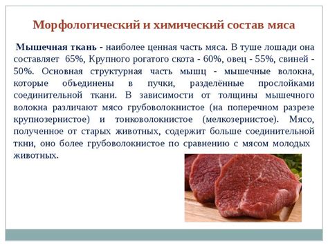  Питательные свойства мяса 