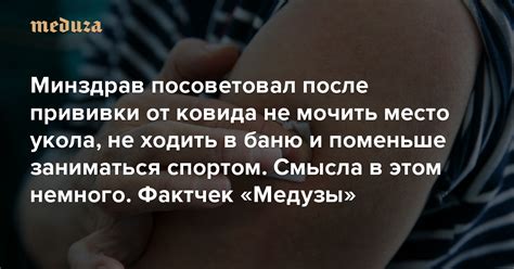  Рекомендации врачей по срокам прогулок с йорком после прививки 