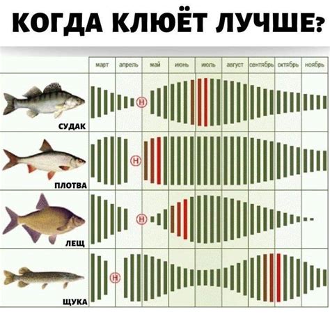  Связь между погодными условиями и поведением рыбы в жаркую погоду 