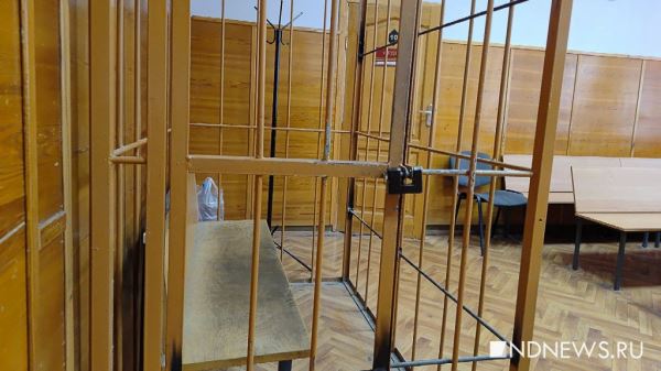 В Сысерти будут судить хозяина собаки, искусавшей двух маленьких детей