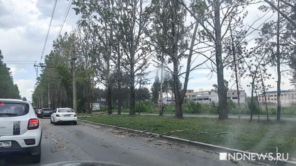 В Екатеринбурге шквалистый ветер повалил забор на прохожего