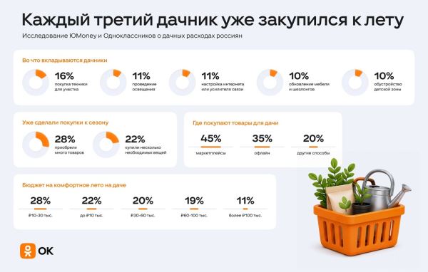 Больше половины россиян ездят летом на дачу