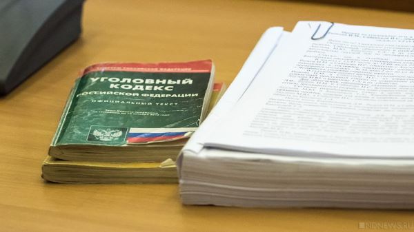 Челябинца, постиравшего мейн-куна в машинке, будут судить за издевательство над животным